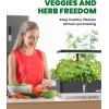 imageRAINPOINT Indoor Hydroponics Growing System13 Pods Hydroponic Garden Planter Vegetable Growing System Kit Kitchen for Women Hydro Garden Herb GrowerGray