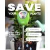 imageRAINPOINT Soil Moisture Meter for Plants  Accurate Plant Water Meter for Houseplants and Outdoor PlantsGardeningFarmingNo Batteries NeededWhiteGreen