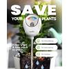 imageRAINPOINT Soil Moisture Meter for Plants  Accurate Plant Water Meter for Houseplants and Outdoor PlantsGardeningFarmingNo Batteries NeededWhiteWhite