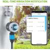 imageRAINPOINT Sprinkler Timer WiFi Water Timer for Garden Hose Smart Irrigation Controller APP Remote Control 24Ghz WiFi ConnectionBluetooth Connection