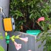 imageRAINPOINT WiFi Water Timer for Garden Hose with Wireless Soil Moisture SensorBuild Automated Irrigation Systems