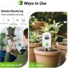 imageRAINPOINT Smart Digital Wireless Plant Moisture Meter Houseplant IndoorWiFi Hub NeededCapacitive ProbeLeavein Soil Hygrometer SensorRealtime Monitor Humidity Tester Outdoor GardeningSensor Only