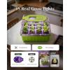 imageRAINPOINT Seed Starter Tray with Grow Light12Cell Indoor Seed Starter KitFlexible Silicone Designed Seedling Starter TraysGermination Tray with Humidity Dome ampamp LidsSturdy ampamp Reusable